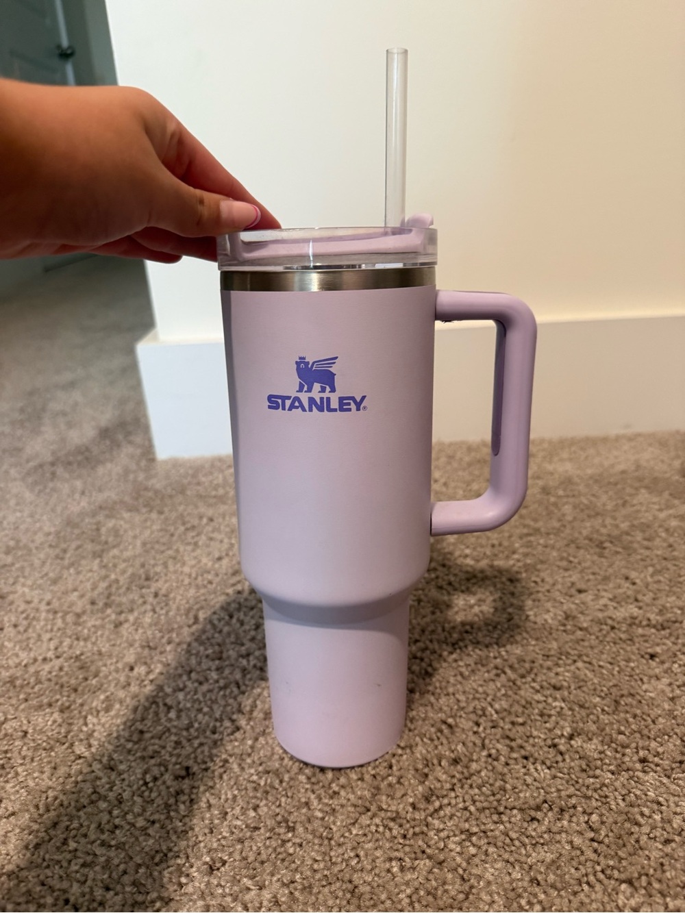 Stanley Quencher H2.0 FlowState Tumbler